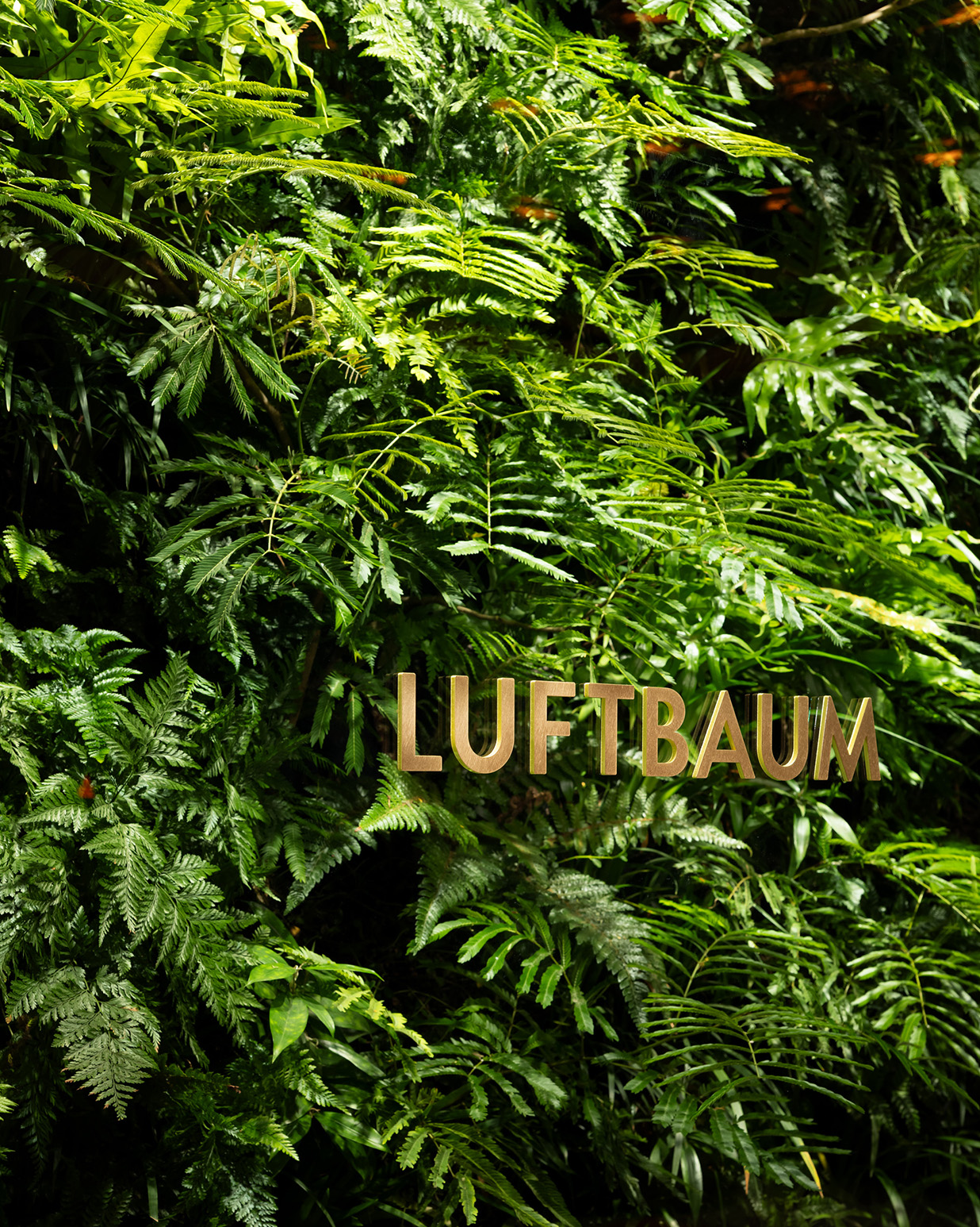 LUFTBAUMNEWoMan TAKANAWA